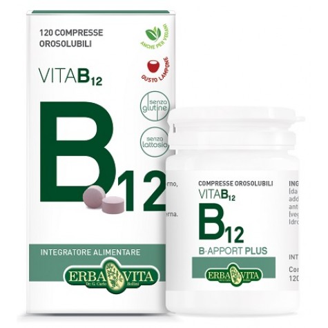 B-APPORT Vit.B12 120Cpr OroEBV