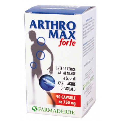 ARTHROMAX Forte 90 Cps