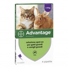 ADVANTAGE*spot-on soluz 4 pipette 0,8 ml 80 mg gatti e conigli grandi