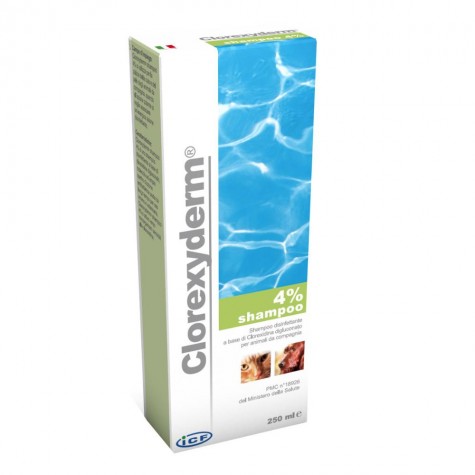 CLOREXYDERM Shampoo 4% 250ml