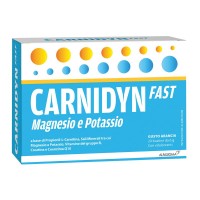 CARNIDYN FAST MAGNESIO/POTASSIO 20 BUSTINE