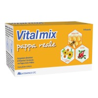 Vitalmix Pappa Reale 10 flaconcini - Integratore Energetico